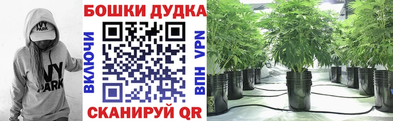 Где купить Светлый Cocaine Канабис Меф мяу мяу А ПВП ГАШ