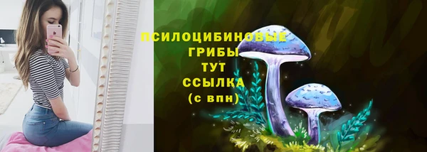 гидра Рославль
