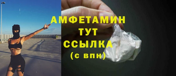 гидра Рославль