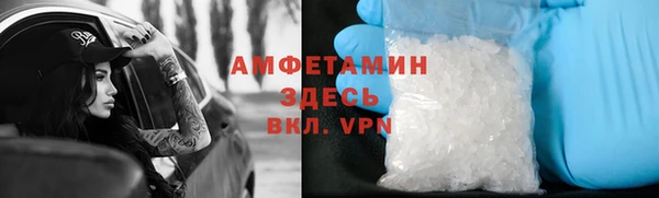 гидра Рославль