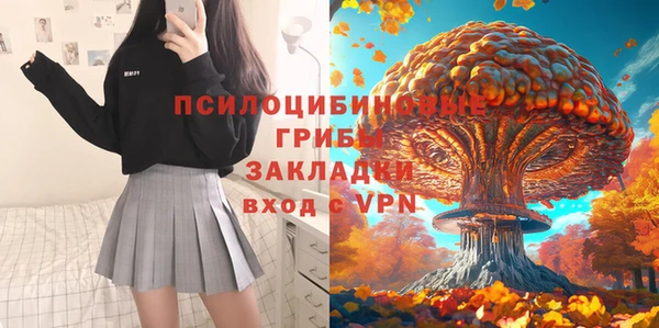 гидра Рославль