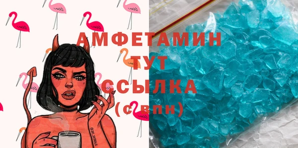 гидра Рославль