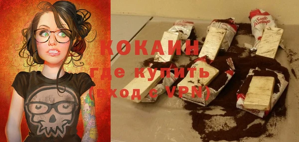 гидра Рославль
