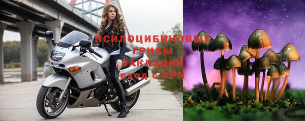 гидра Рославль